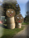 Strohmännli