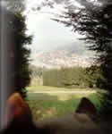 Erlach