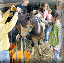 Kindergeburtstag