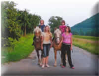 Haflinger